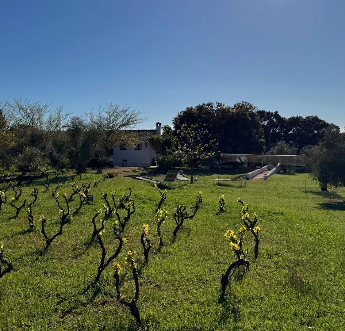 Holiday home Casa Rural Piedras Negras, La Parchite, Ronda Spain